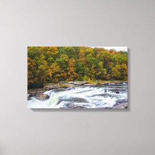 Ohiopyle Falls, Pennsylvania Canvas Print