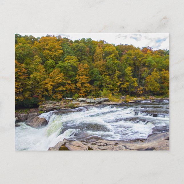 Ohiopyle Falls, Pennsylvania Postcard (Front)
