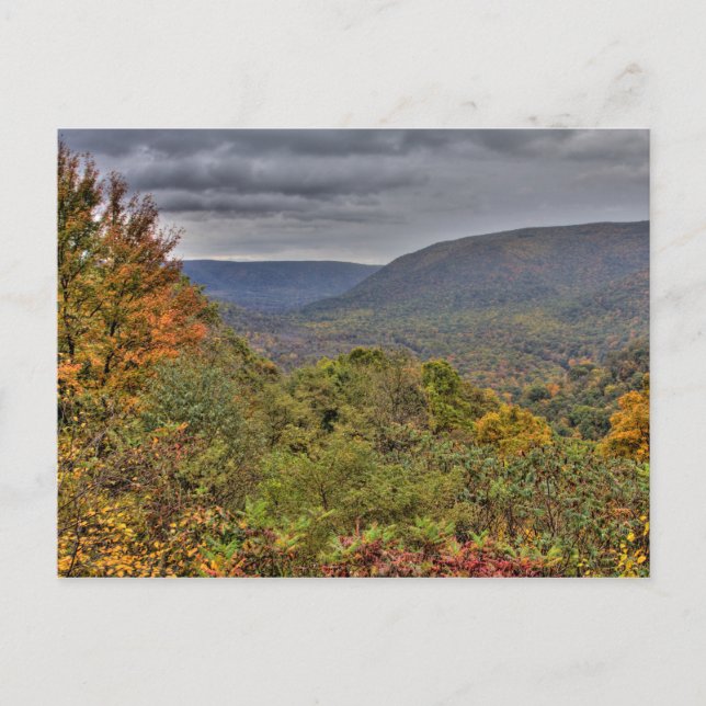 Ohiopyle Valley Overlook in Autumn, Pennsylvania Postcard (Front)