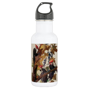 ohn James Audubon Pileated Woodpecker Bird Print 532 Ml Water Bottle