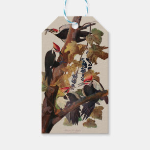 ohn James Audubon Pileated Woodpecker Bird Print Gift Tags