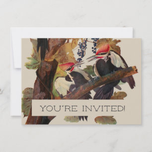 ohn James Audubon Pileated Woodpecker Bird Print Invitation