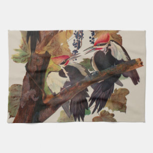 ohn James Audubon Pileated Woodpecker Bird Print Kitchen Towel