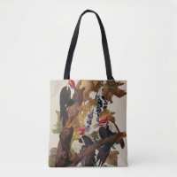ohn James Audubon Pileated Woodpecker Bird Print