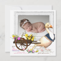 Oie avec le faire-part de naissance de photo