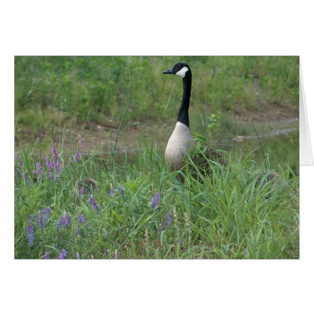 Oie avec les oisons de dissimulation (Devant horizontal)