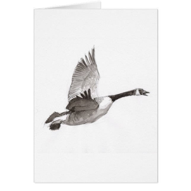 Oie dessinant en vol (Devant)