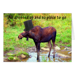 Oie du haut du chapeau