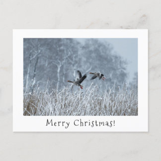 Oies-laitières en carte de noël de paysage enneigé