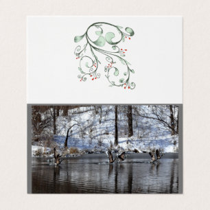 Oies Se Levant De L'Eau