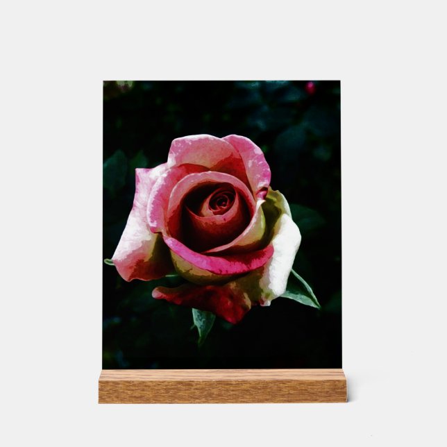 Oil painted red rose acrylic sign (Front)