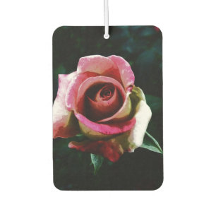 Oil painted red rose air freshener