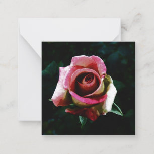 Oil painted red rose card