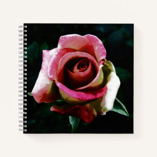 Oil painted red rose notebook