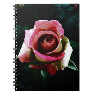 Oil painted red rose notebook