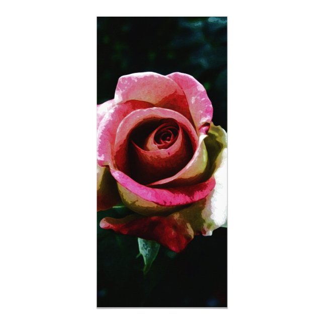 Oil painted red rose rack card (Front)