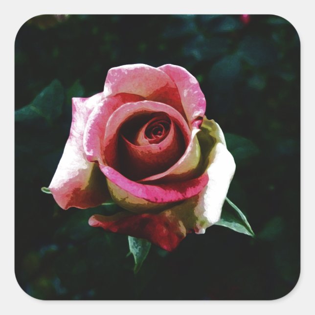 Oil painted red rose square sticker (Front)