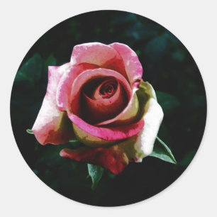 Oil painted rose classic round sticker