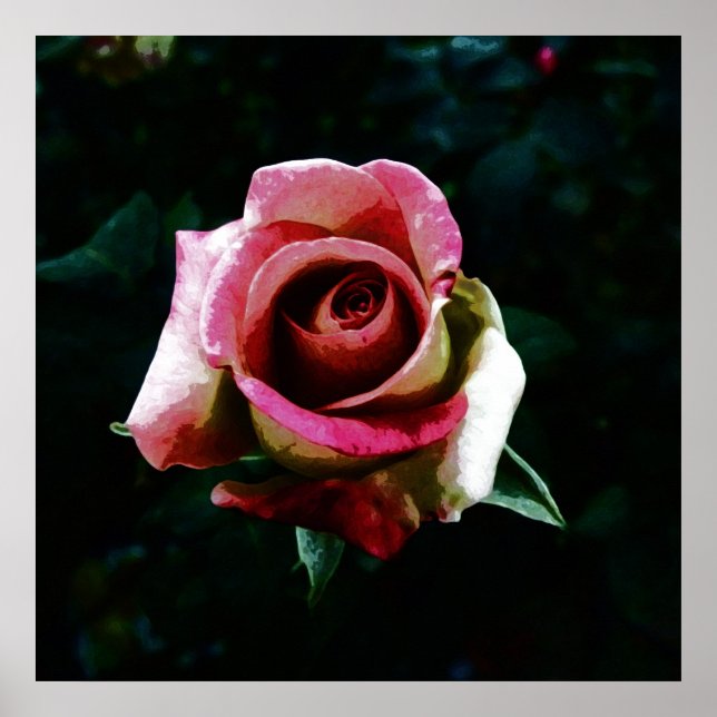 Oil painted rose poster (Front)