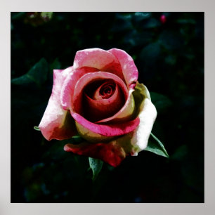 Oil painted rose poster