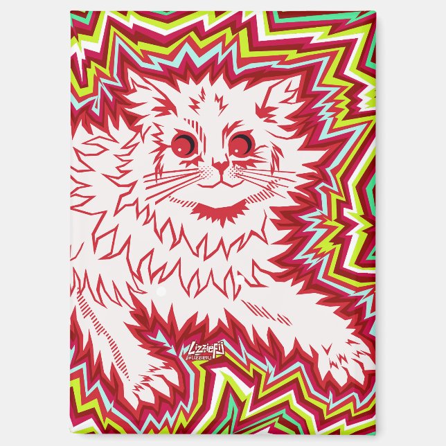 Oingo Boingo psychedelic cat magnet (Front)