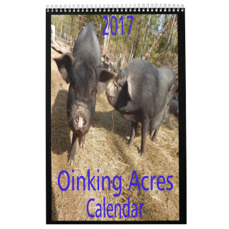Oinking Acres Mini Pigs Calendar