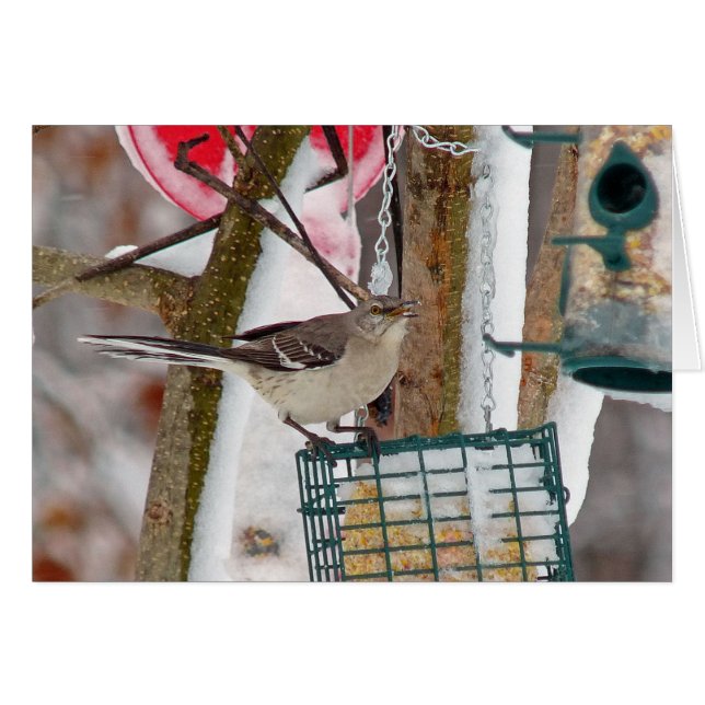 Oiseau (Devant horizontal)