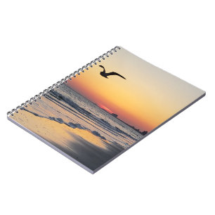 Oiseau au-dessus du Carnet d'Atlantic City