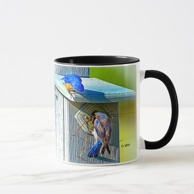 Oiseau bleu 020 nichant la tasse de classique de (Droite)