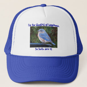 Oiseau bleu drôle de la CE de casquette de