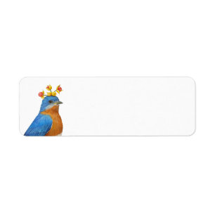 Oiseau bleu oriental avec l'amertume