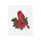 Oiseau cardinal, illustration de Noël