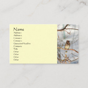 Oiseau cireux en Carte de visite animal d'hiver