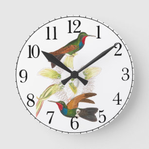 Oiseau-colibri Faune Florale Horloge murale