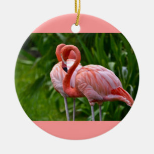 Oiseau d'Amérique Flamant rose ornement
