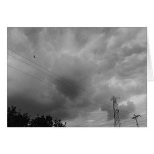 Oiseau dans le paysage nuageux / Noir