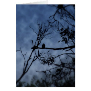 Oiseau de brouillard du matin sur la carte des bra