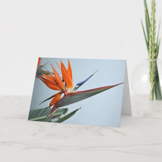 Oiseau de carte de paradis (Devant)