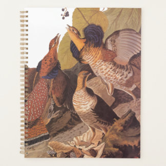 Oiseau de gibier Audubon