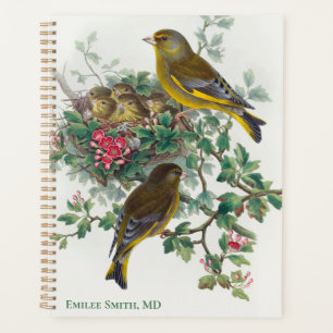 Oiseau de Greenfinch par John Gould Planner