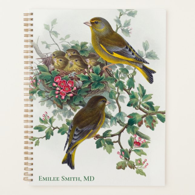 Oiseau de Greenfinch par John Gould Planner (Devant)