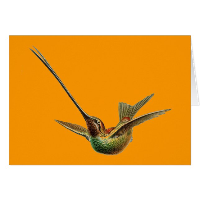 Oiseau de Haeckel (Devant horizontal)