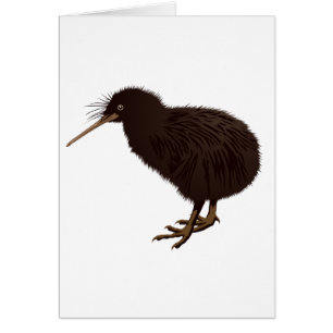 Oiseau de kiwi