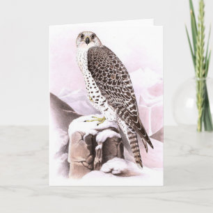 OISEAU DE LA CARTE À NOIX