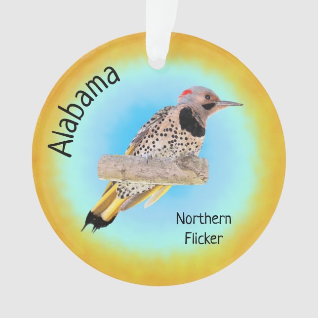 Oiseau de l'Alabama (devant)
