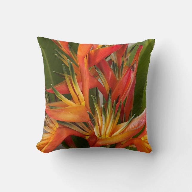 Oiseau de paradis Coussin tropical (Recto)