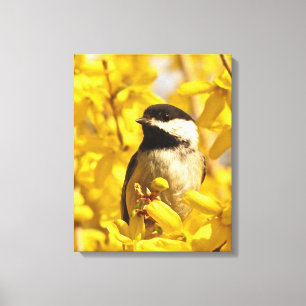 Oiseau de pousse en Forsythia Fleurs toile Imprime