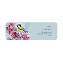 oiseau de prêche sur les fleurs roses du cyclomène