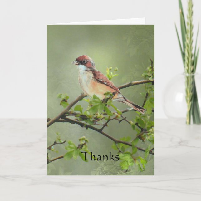 Oiseau de Whitethroat merci pour le cadeau, (Devant)