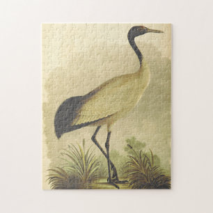 Oiseau debout sur le puzzle du sol